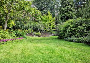 Optimiser l'expérience du jardin à Warlencourt-Eaucourt
